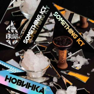 Black Burn 100гр - Something Icy (что-то ледяное)