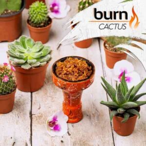 Burn 100гр - Cactus (Кактус)