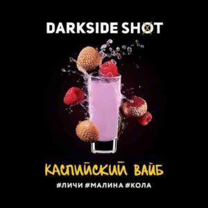 DarkSide shot 30гр - Каспийский вайб (Личи Малина Кола)