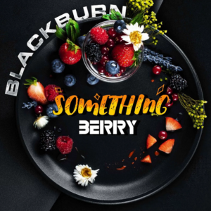 Black Burn 25гр - Something Berry (Ягодный микс)
