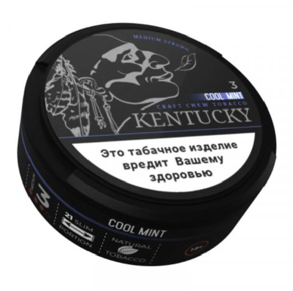 Жевательный табак Kentucky - Cool Mint 1 Жевательный табак Kentucky - Cool Mint